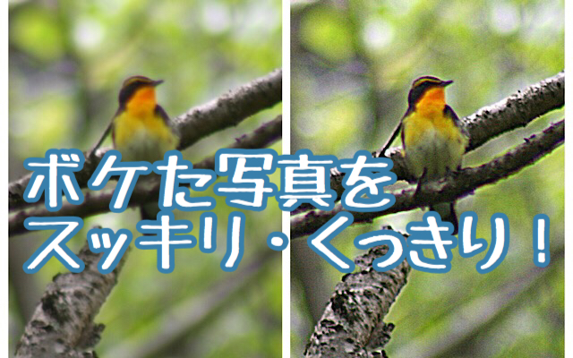 すっきりくっきり ピンボケ写真を鮮明に修正してくれるアプリ Smartdeblur くっきりんこ４ Easy Photo Unblur の驚異的な補正力