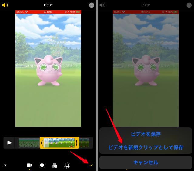 Iphoneの動画編集 かんたん 標準アプリや無料アプリで加工 トリミング カット モザイク エフェクト してsnsにアップする